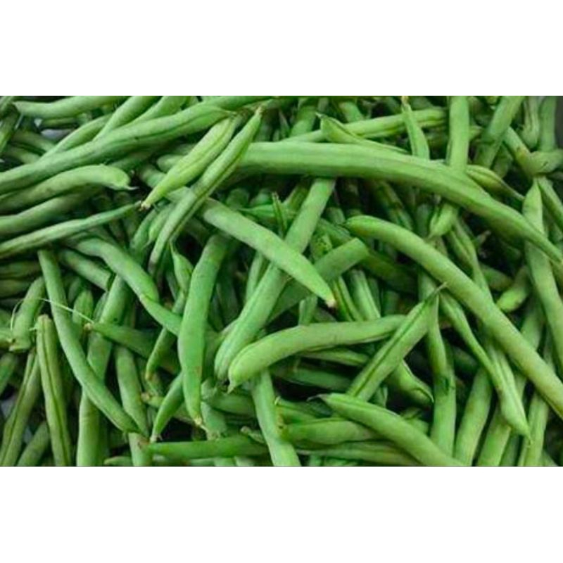 Fresh Baguio Beans 1 kg | Shopee Philippines