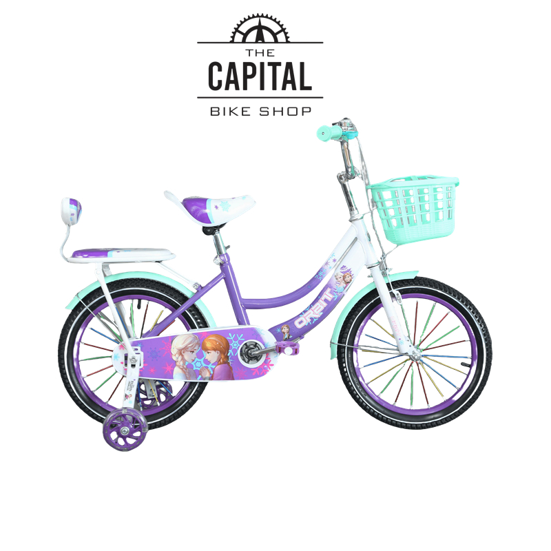 Children s Frozen design bicycle with balancer girls bike