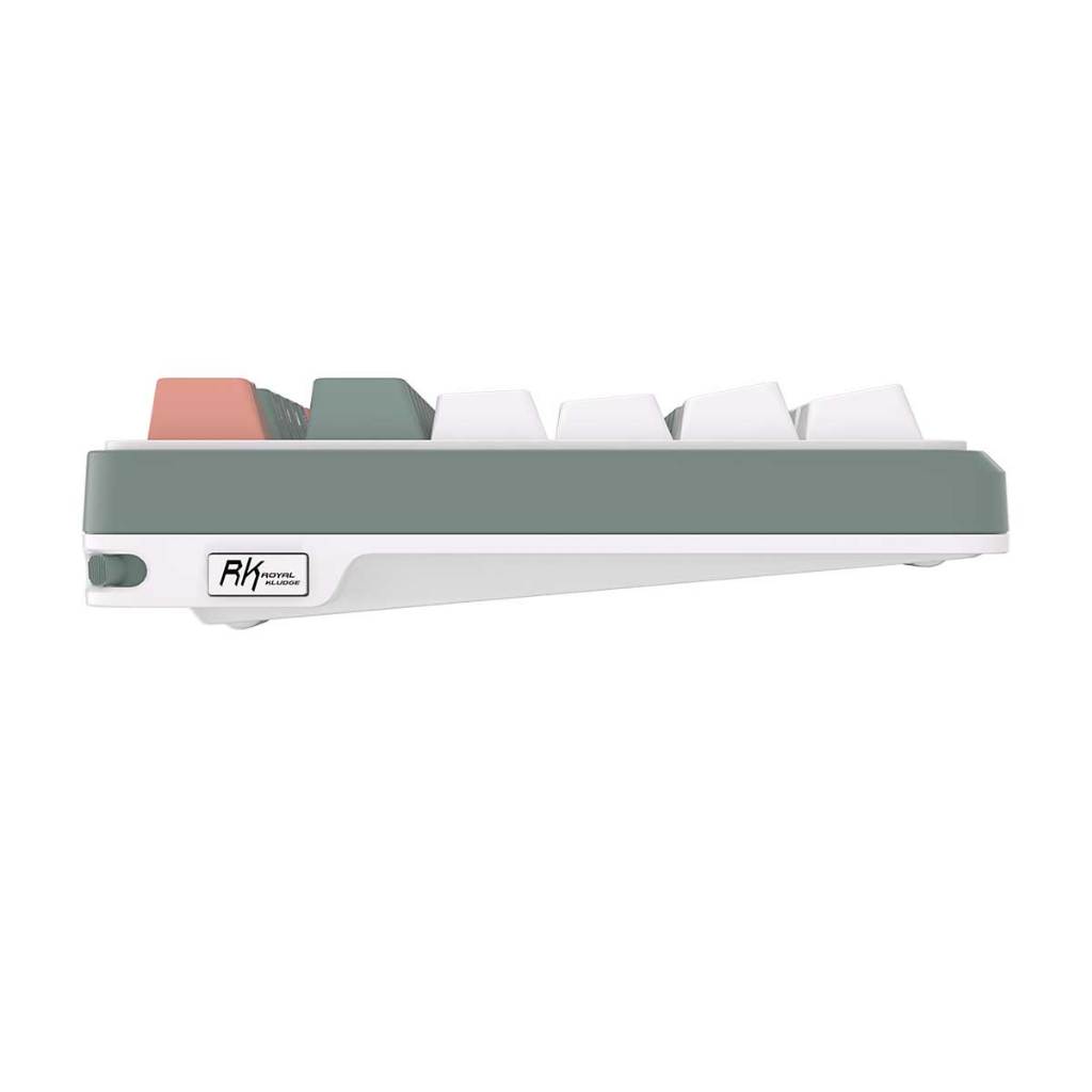 Royal Kludge RK-S98 Tri-Mode RGB 98 Keys Hot Swappable Mechanical ...
