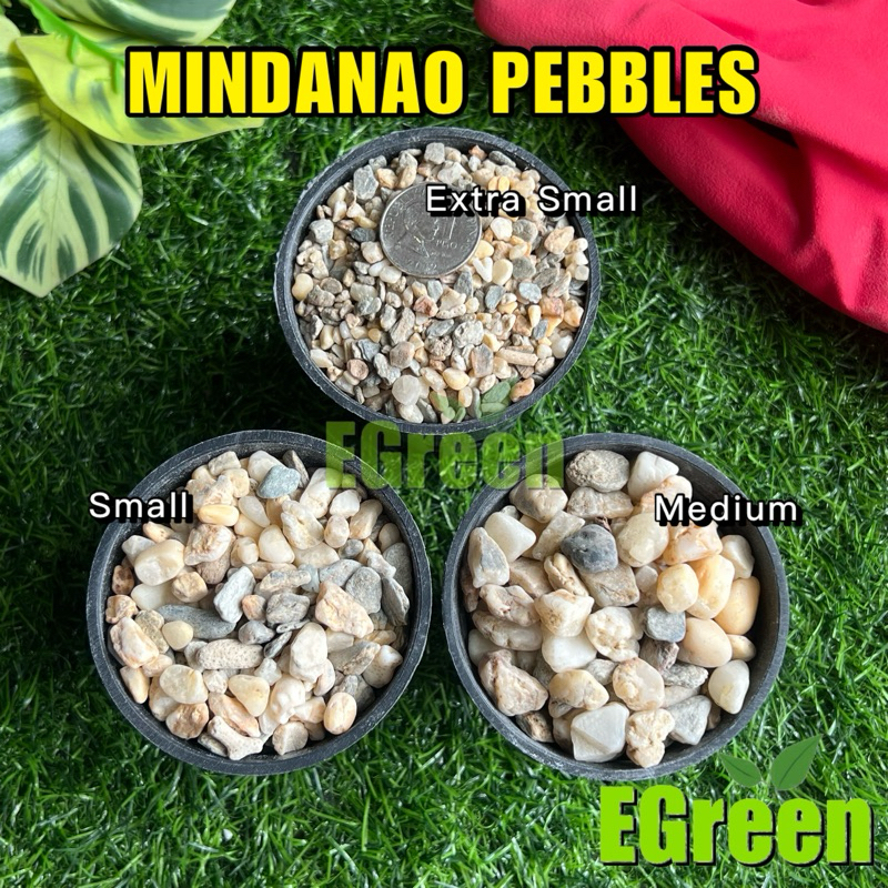 MINDANAO PEBBLES - 1KILO | Stones Rocks Pebbles Toppings | Shopee ...