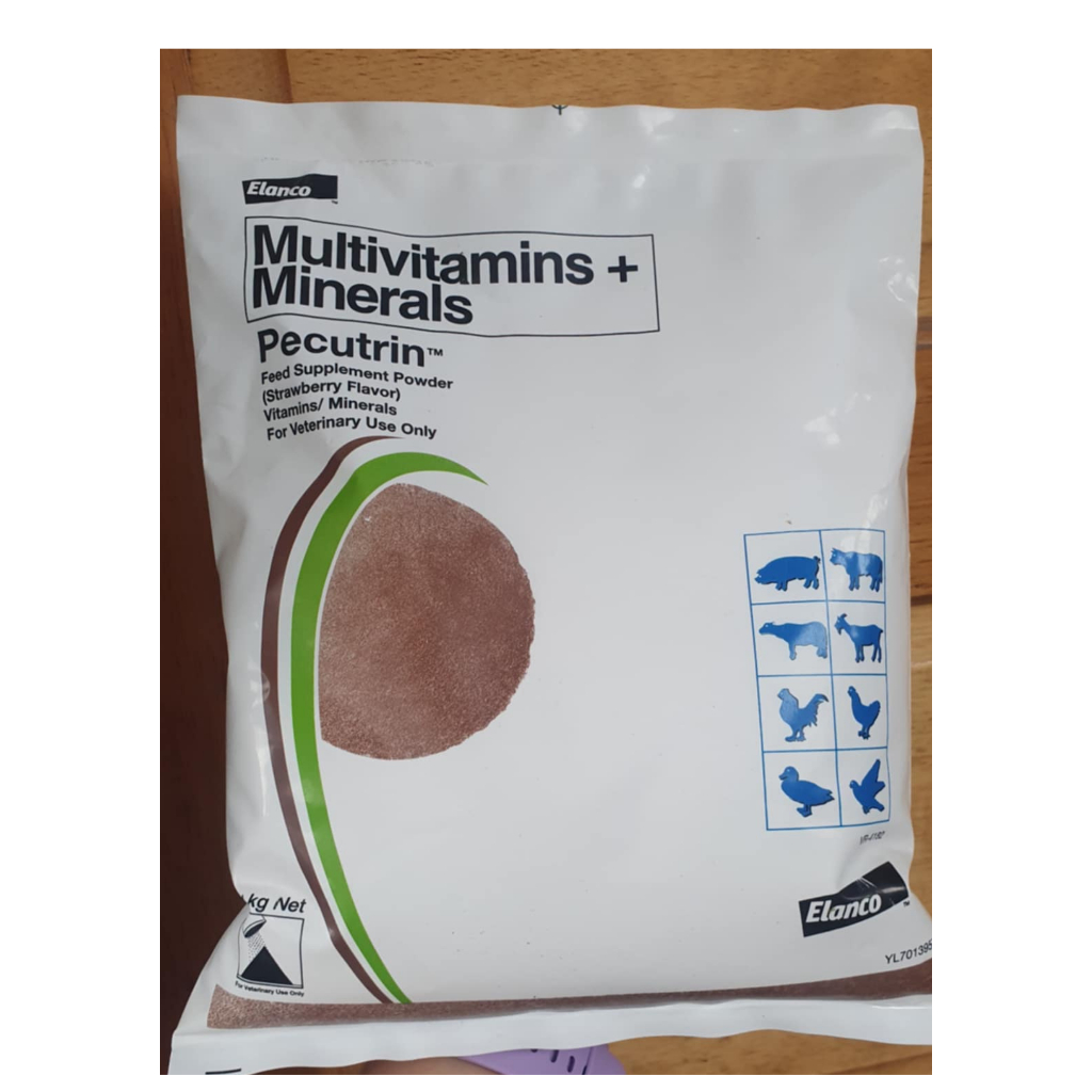 PECUTRIN FOOD SUPPLEMENT POWDER | Shopee Philippines