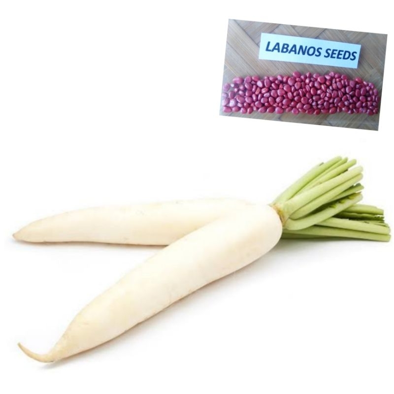 Labanos Seeds (70Pcs/Pack) | Shopee Philippines