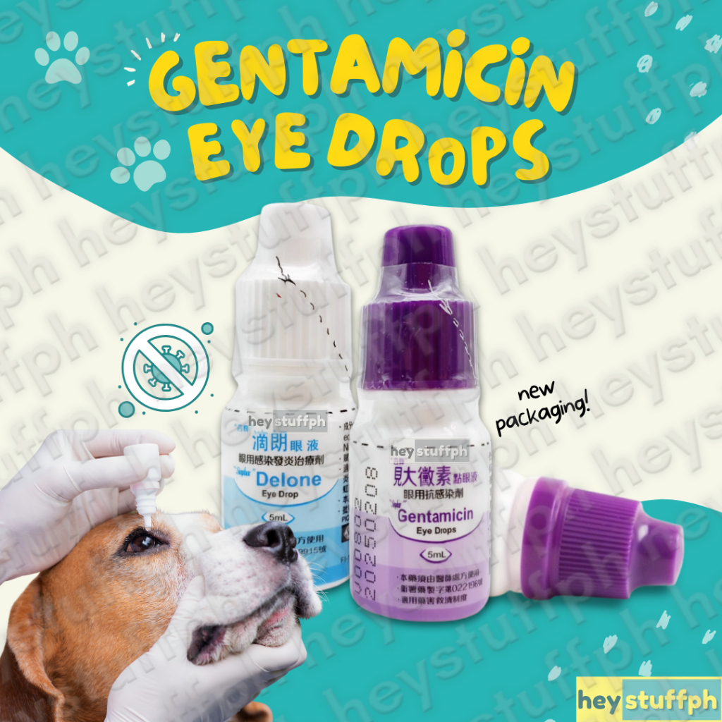 Sinphar Gentamicin Eye Drops for Pets 5ml Shopee Philippines