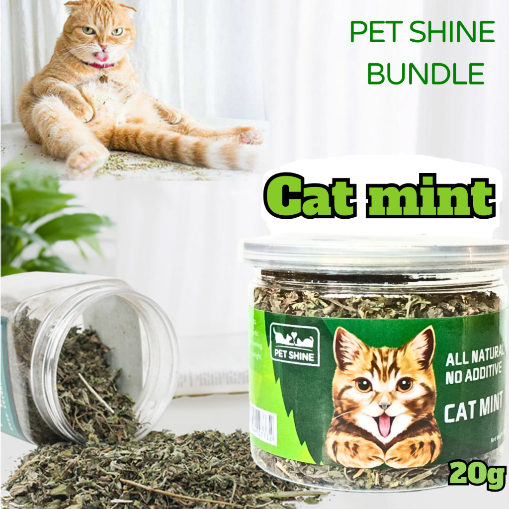 Catnip Cat Mint For Cats (20g) Shopee Philippines
