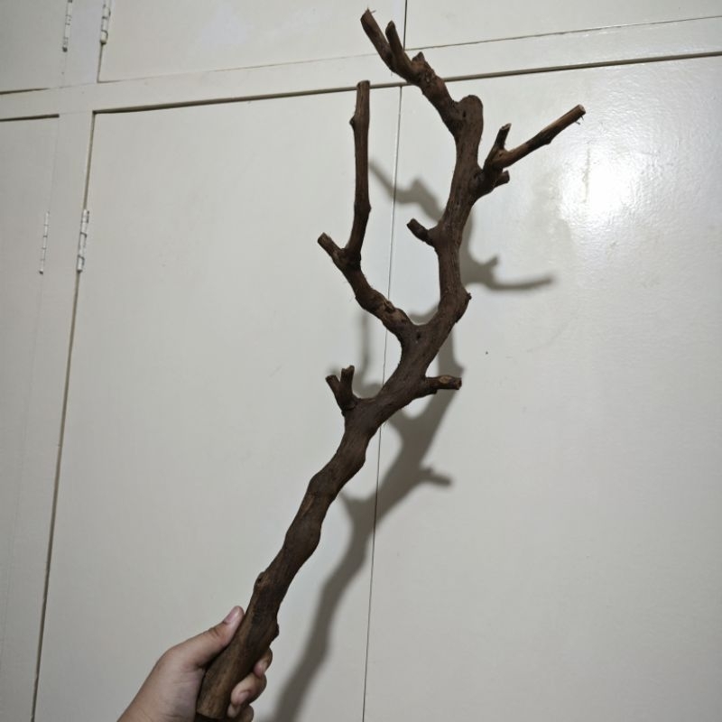 Hoarder's Hideout — 40&50cm Grapevine wood — hamster toy wood climbing toy hamster enrichment