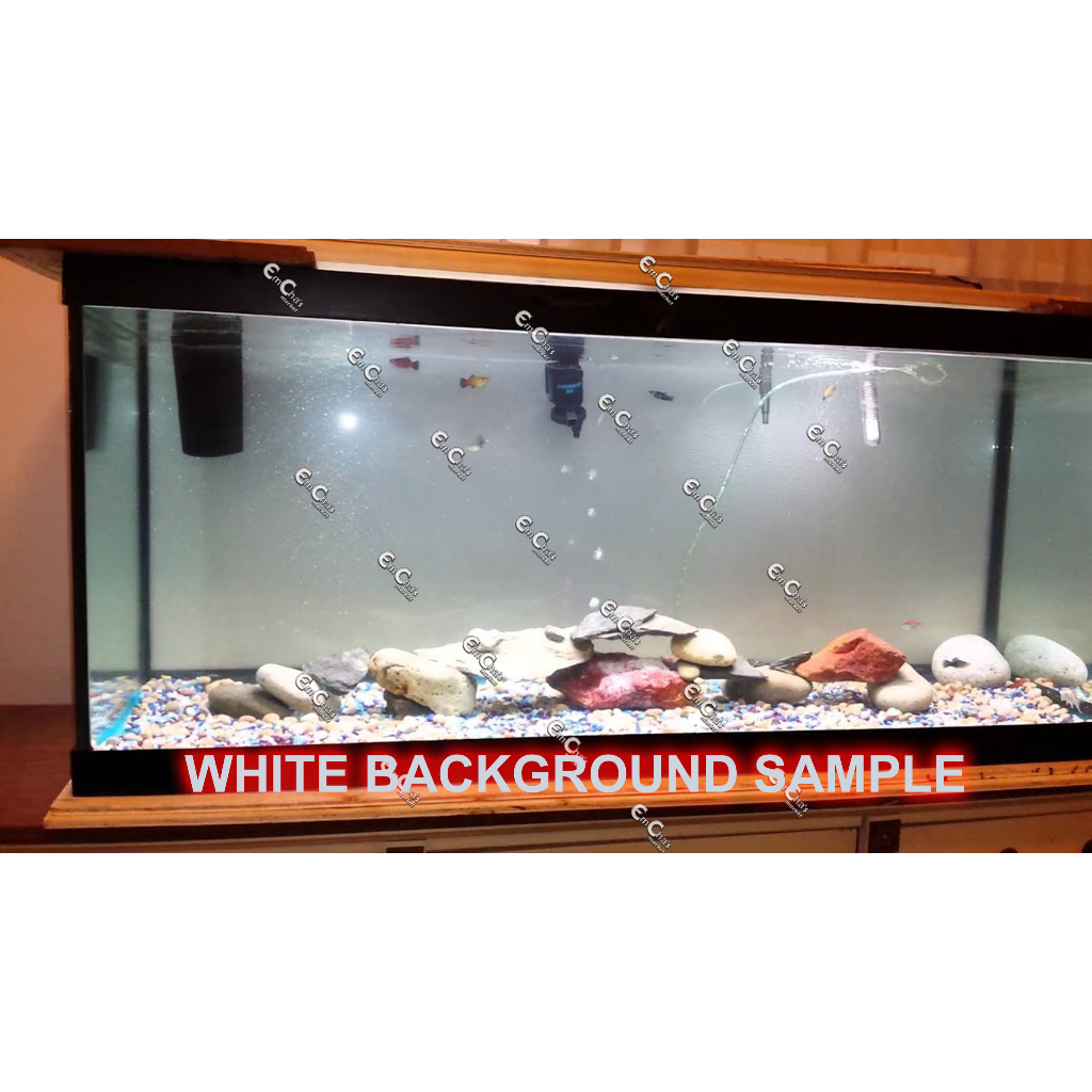 JTC WHITE Aquarium Background Sticker (for 20-175G)(wpp2)(20gl)(30gl ...