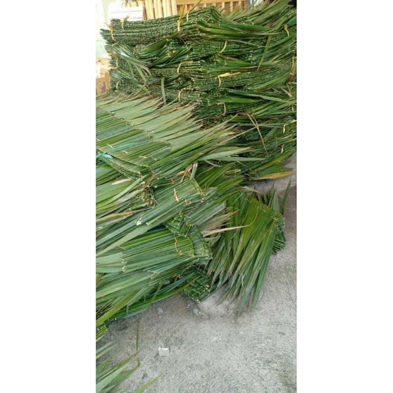 Shop pawid for Sale on Shopee Philippines