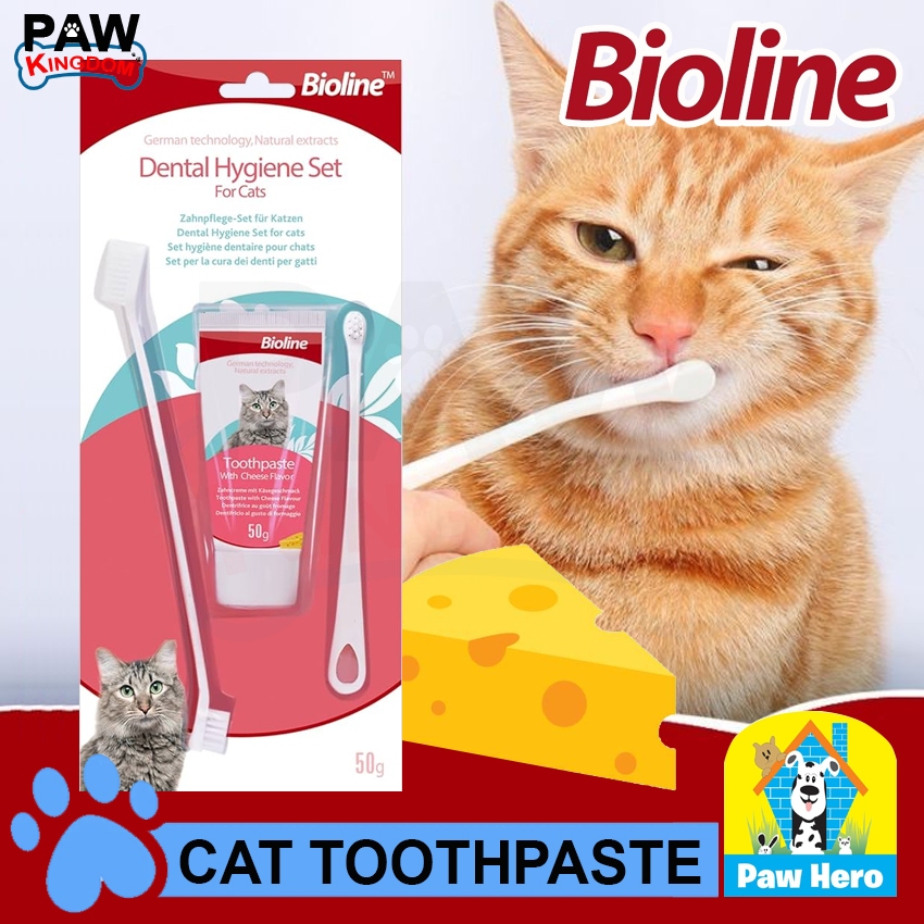 Bioline Toothpaste & Toothbrush with Cheese Flavor 50g for Cats Dental