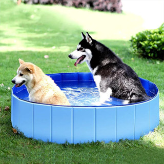 Foldable dog swimming sales pool