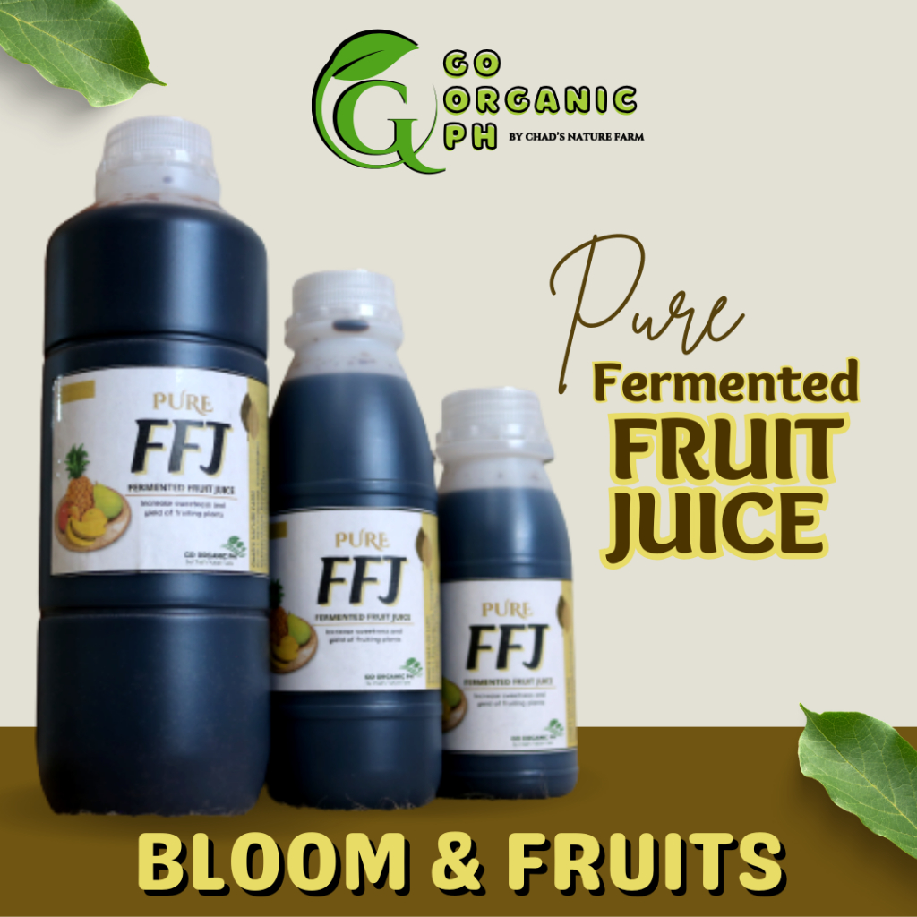 PURE FFJ Fermented Fruit Juice Shopee Philippines