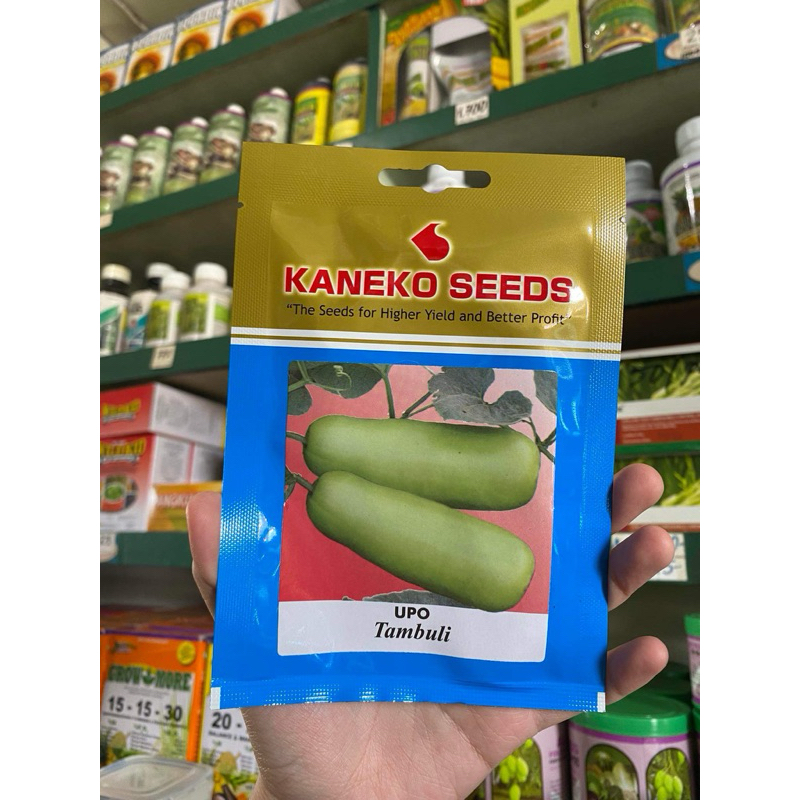 Upo Seeds Tambuli by Kaneko Seeds Shopee Philippines