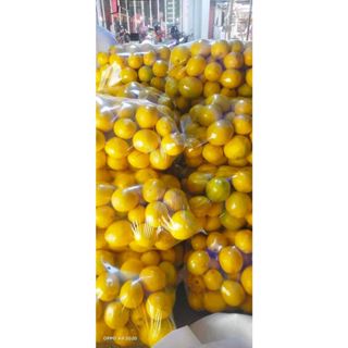 Dried Lemon Slice  Lush Fresh Handmade Cosmetics Philippines