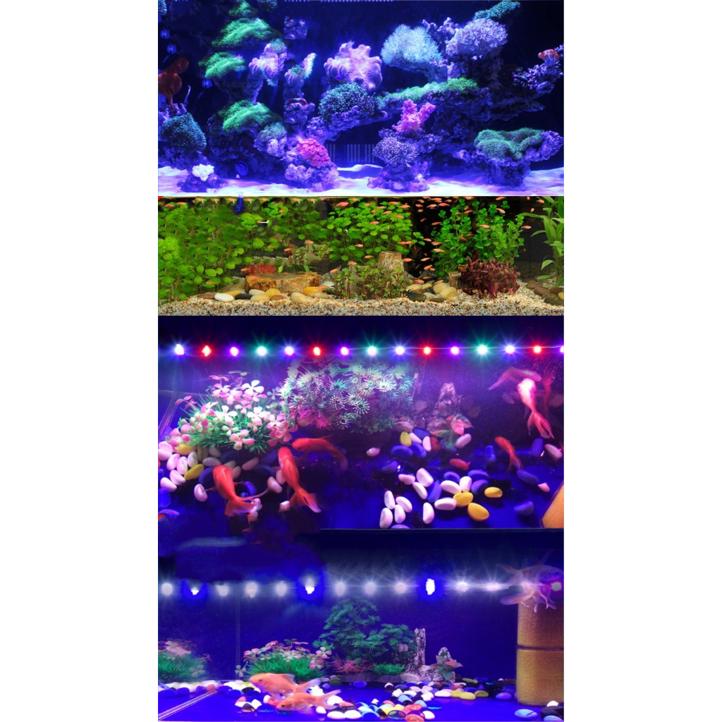 Aquarium LED Submersible Light Fish Tank LED Light Submersible ...