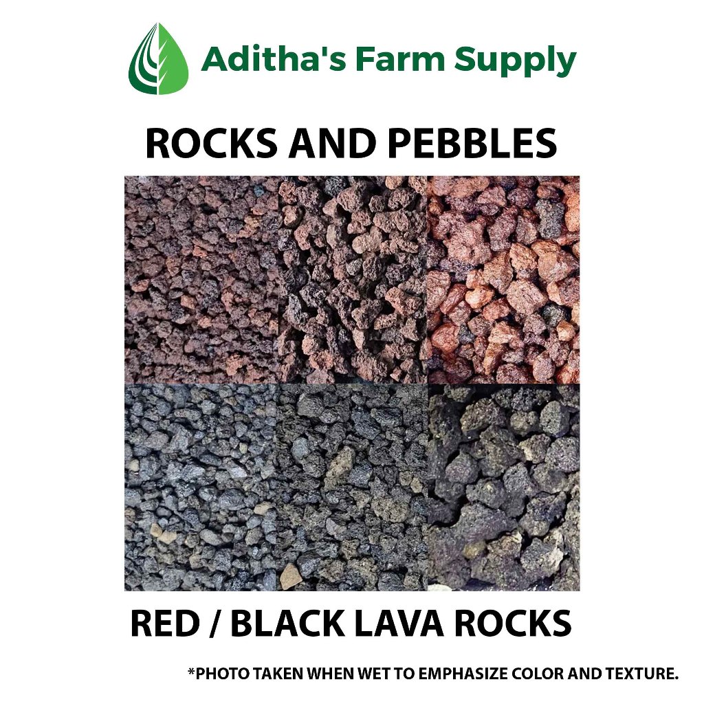 Red and Black Lava Rocks Garden Ornaments 500 grams | Shopee Philippines