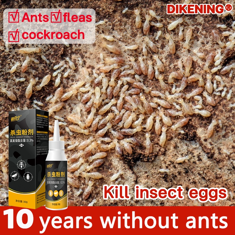 COD Termite killer ant medicine moth attack insect Killing Powder insecticide poison killer