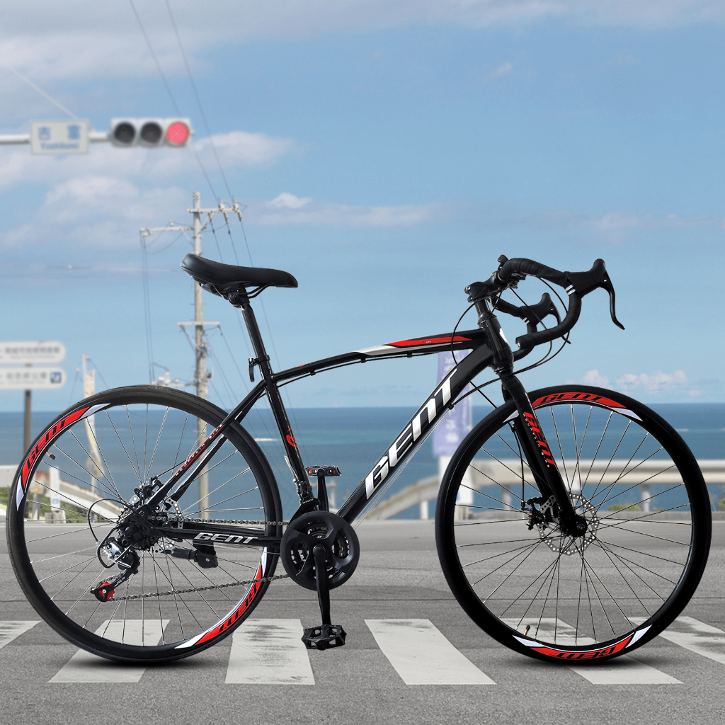 21 inch sales frame road bike