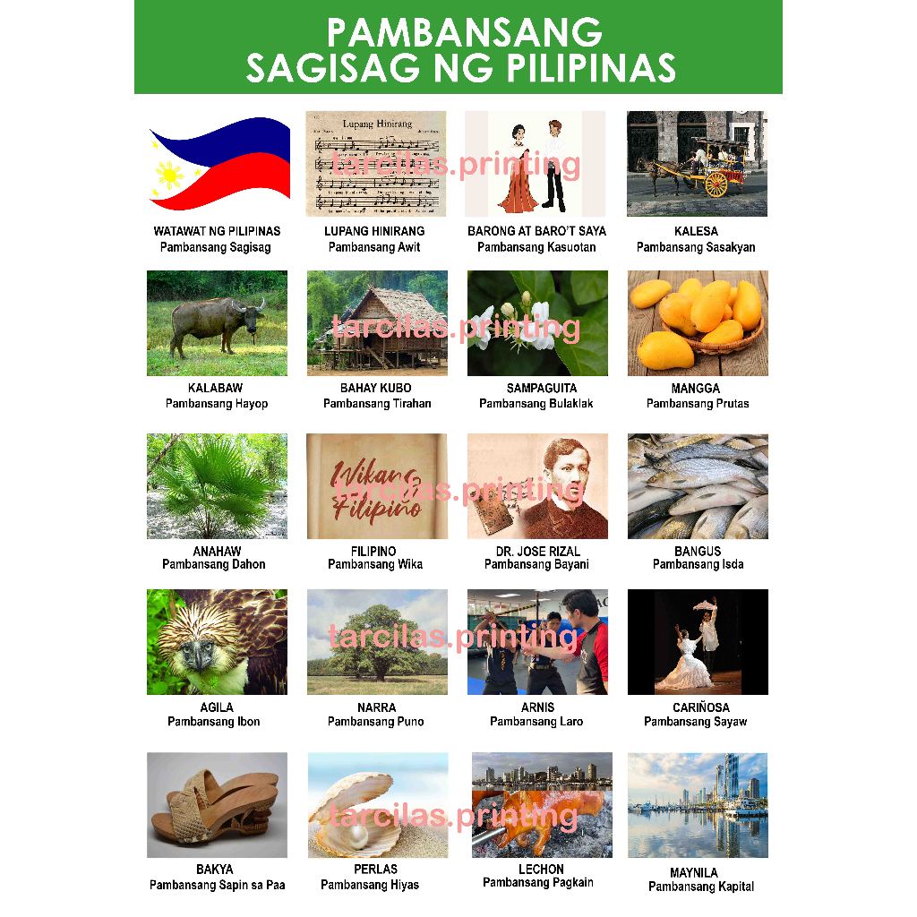 Sagisag Ng Pilipinas Chart A4 Laminated High Print Quality Shopee Philippines 2814