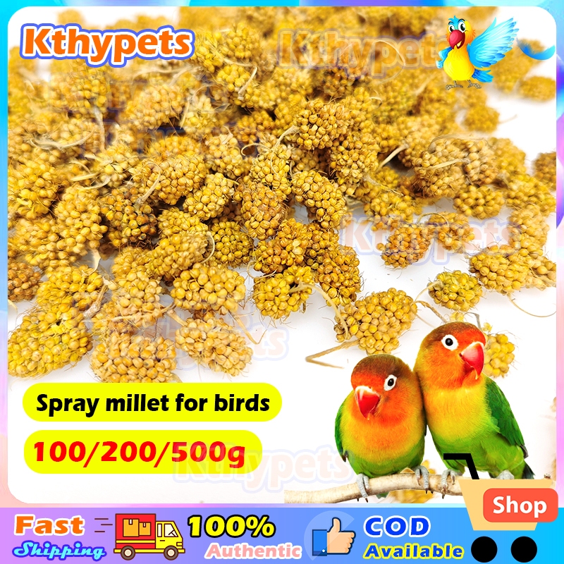 Spray millet for birds 100/200/500g Parrot food seeds Shopee Philippines