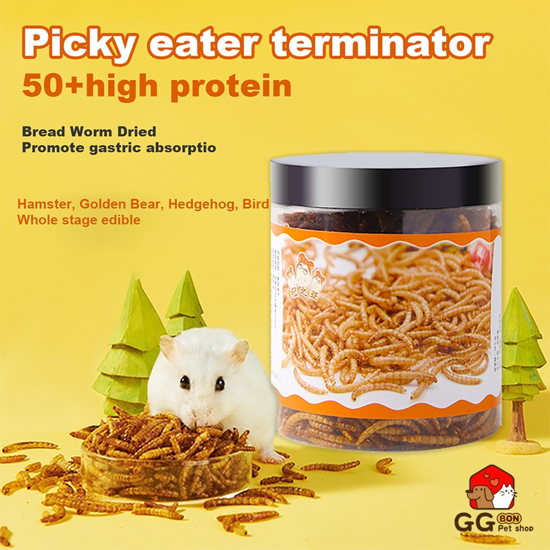 High protein hotsell hamster food