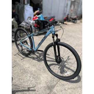 Aeroic mountain bike online price