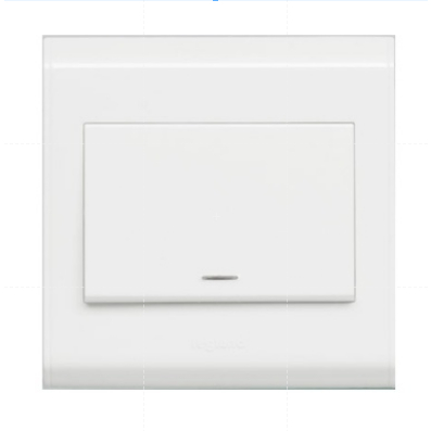 1 Way Switch, Luminous 250V, 10A | Shopee Philippines
