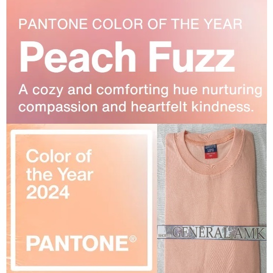 2024 PEACH FUZZ and APRICOT CRUSH PANTONE OFFICIAL COLOR OF THE YEAR