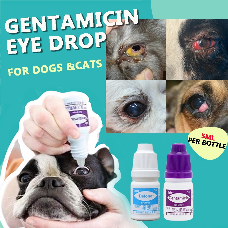 5ML Gentamicin Eye Drops for Pet Eye Drops for Dogs and Cats Pet Eye