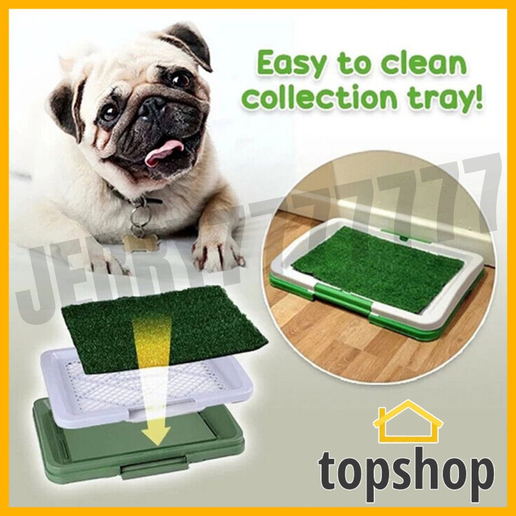 Artificial grass bathroom mat for outlet puppies