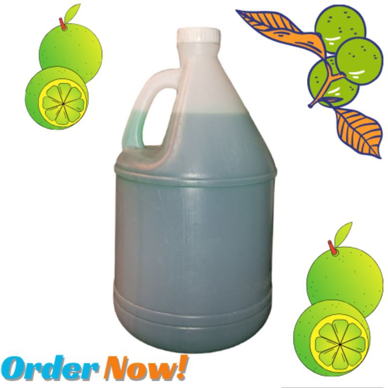Dishwashing Liquid Calamansi Scent Shopee Philippines