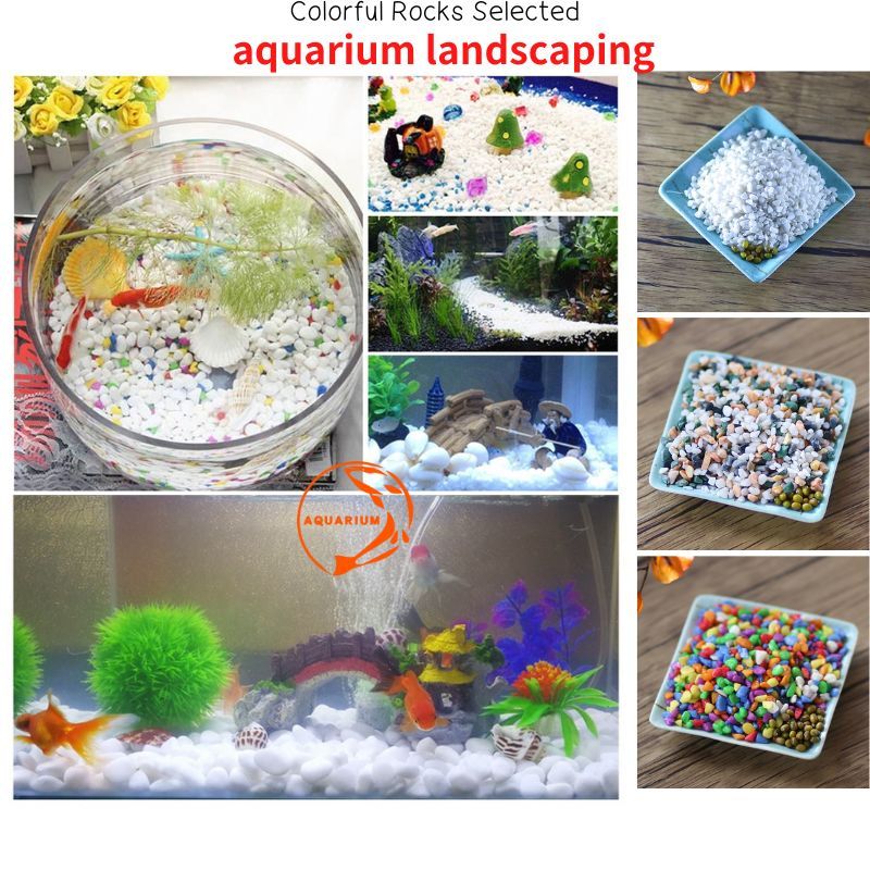 Aquarium Colorful Rocks Pebble White Pebbles Stones Natural stone ...
