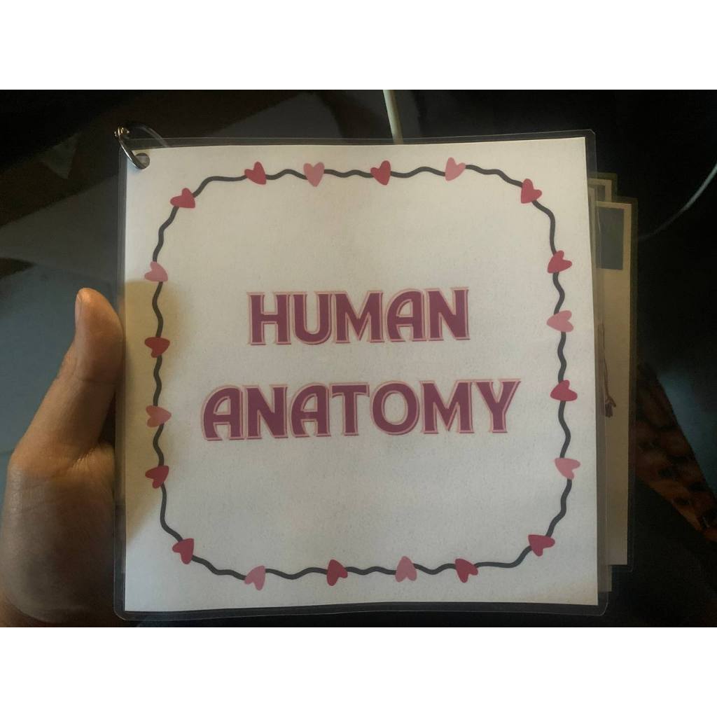 Ilori s human anatomy flash cards shopee philippines