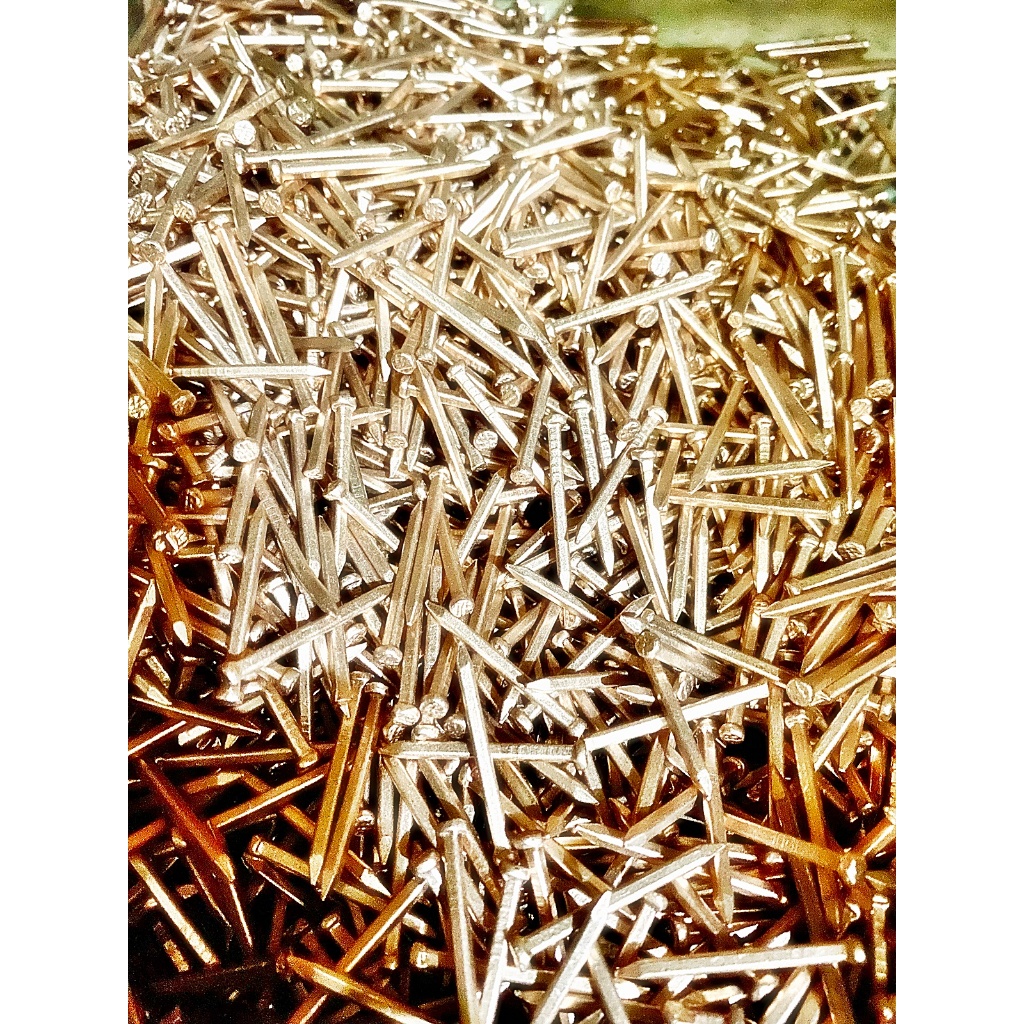 Copper Nail/ Bronze Nail/ Pakong Tanso/ Pako Ganza (per KILO) | Shopee ...