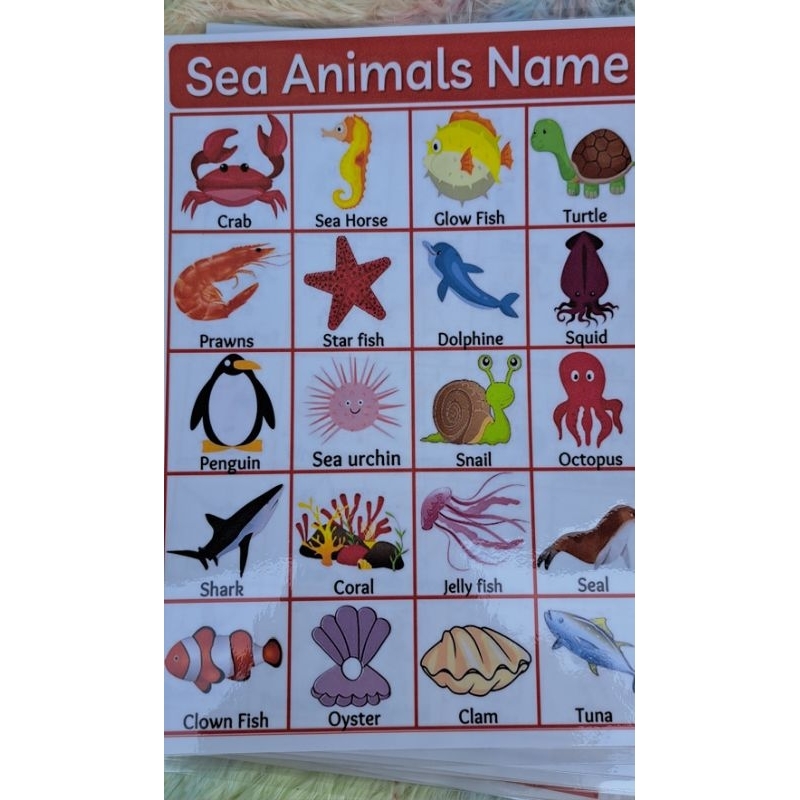 Laminated Kids Learning Chart | Shopee Philippines