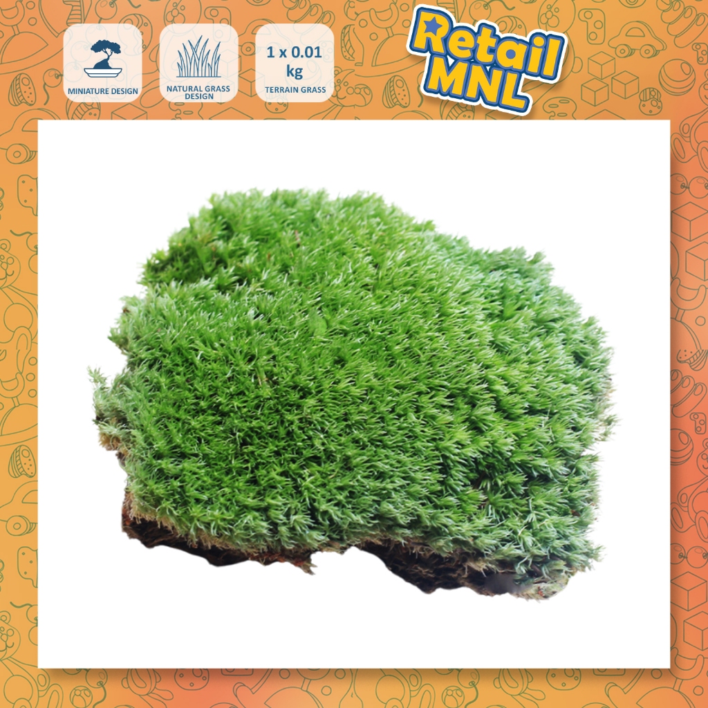 Retailmnl Miniature Model DIY Grass Base Design, Micro Natural Moss ...