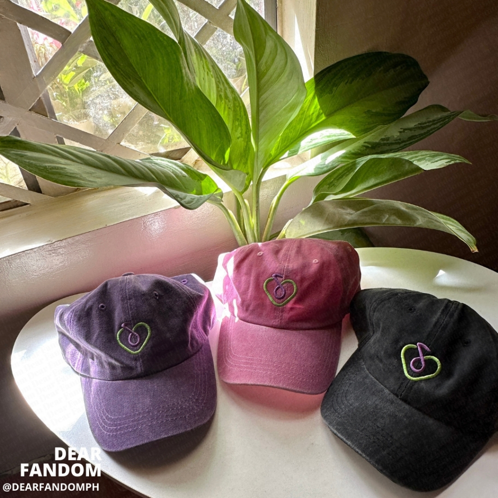 Dear Fandom IU Cap Uaena Cap IU HER Cap Love Wins All Cap IU