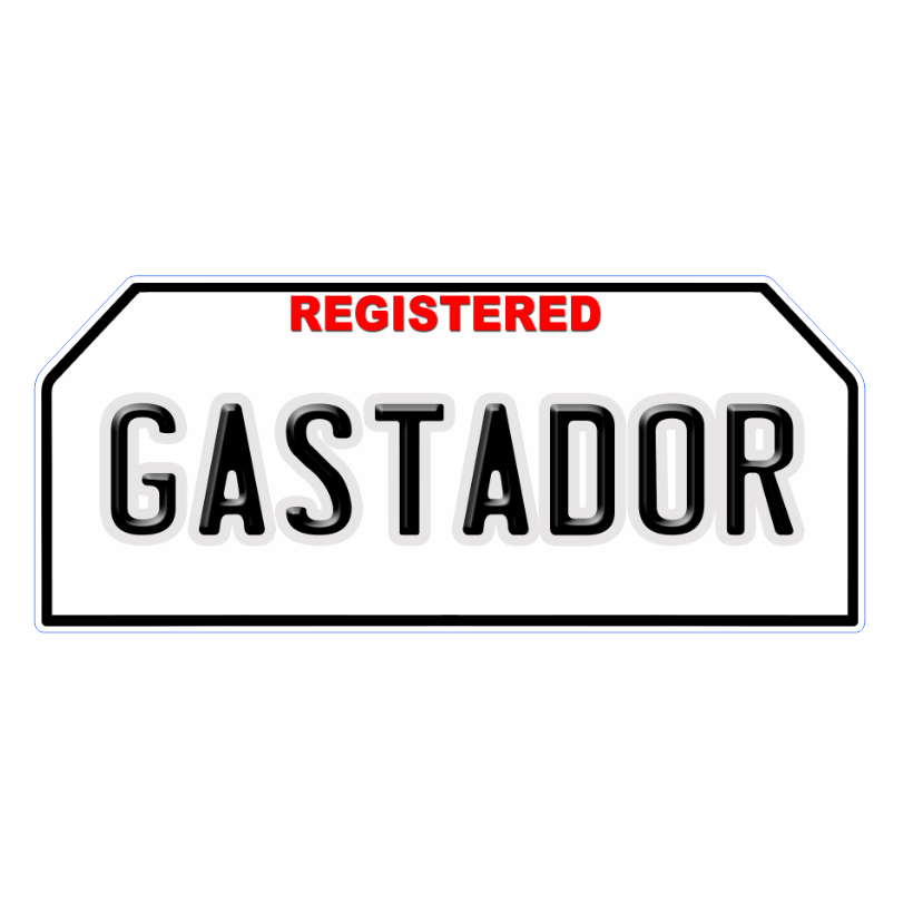 Temporary Plate Witty Looking Single Mom Motor Plate 3mm | Shopee ...