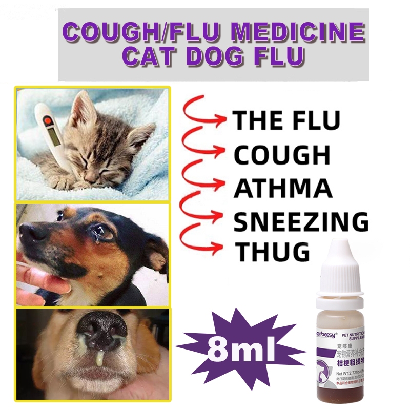 Flu Dog Cold Symptoms Treatment Cold Symptoms Cat Flu Medication