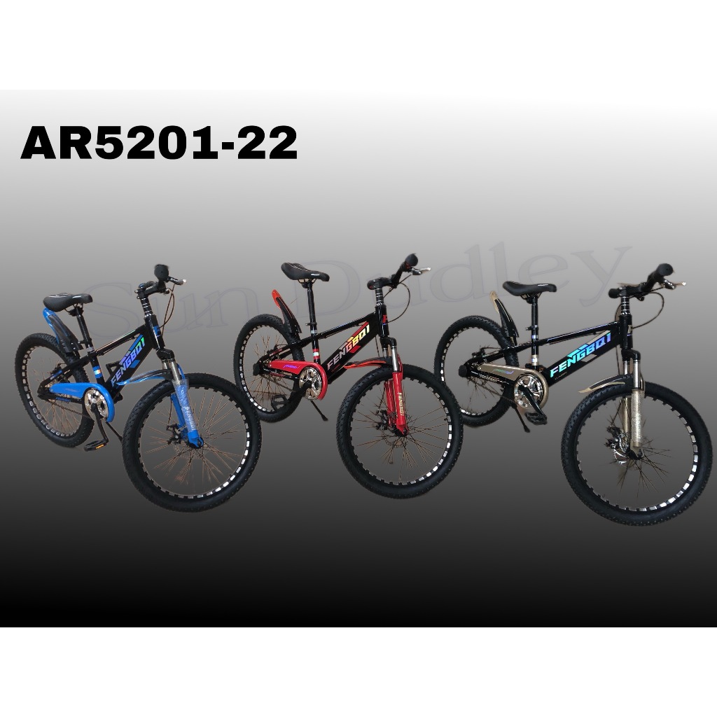 New Mountain Bike for Teens and Adult Size 22 inches Bicycle AR5201 22