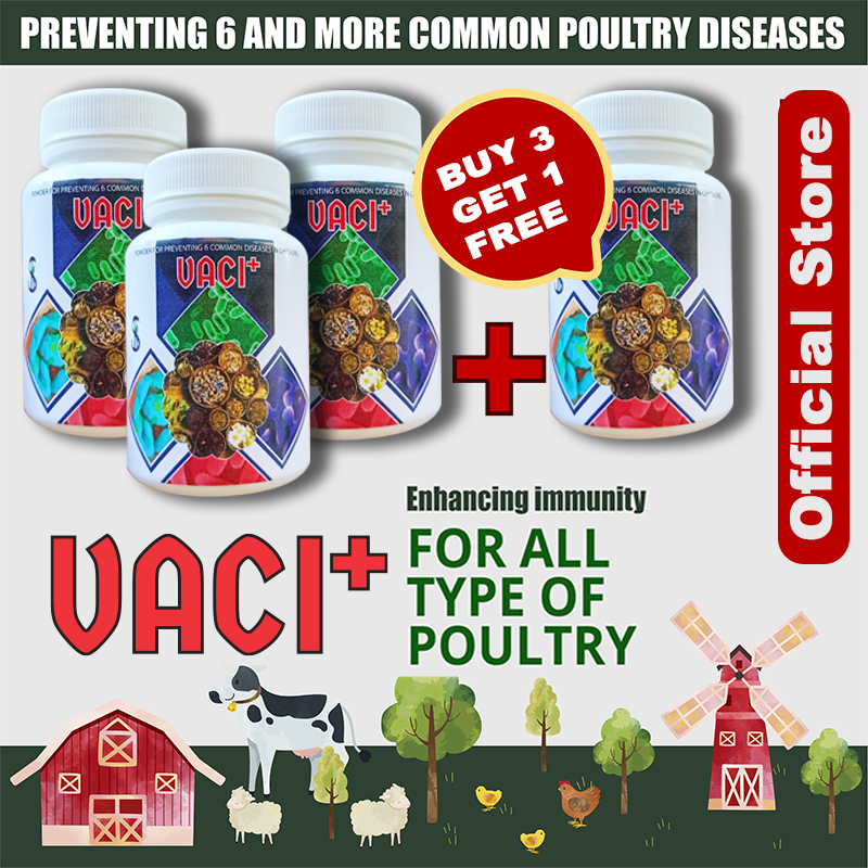 BUY 3 FREE 1 VACI (100Grams) - Poultry Immunity Booster, Preventing 6 ...