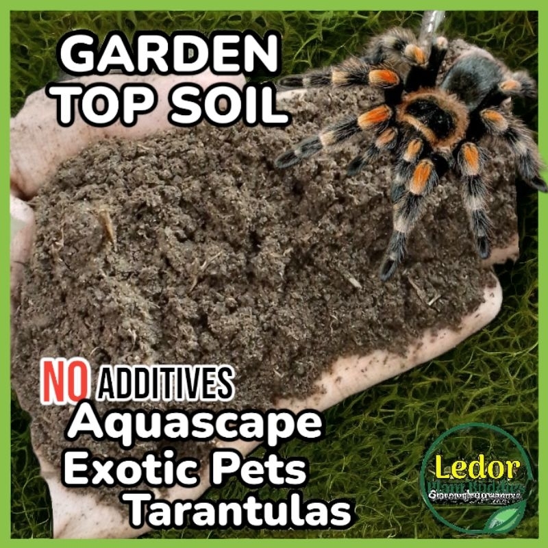 Garden Soil 3 kilos Top Soil for Fossorial Tarantulas Lupa Pang Halaman