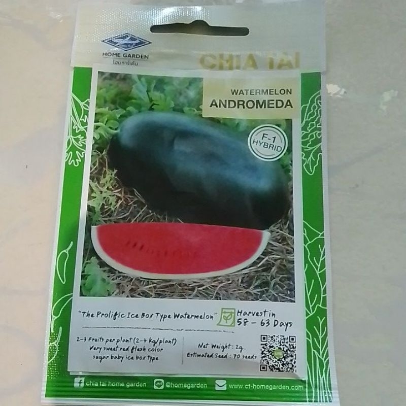 WATERMELON ANDROMEDA HYBRID PAKWAN (2GRAMS) CHIA TAI SEEDS | Shopee ...