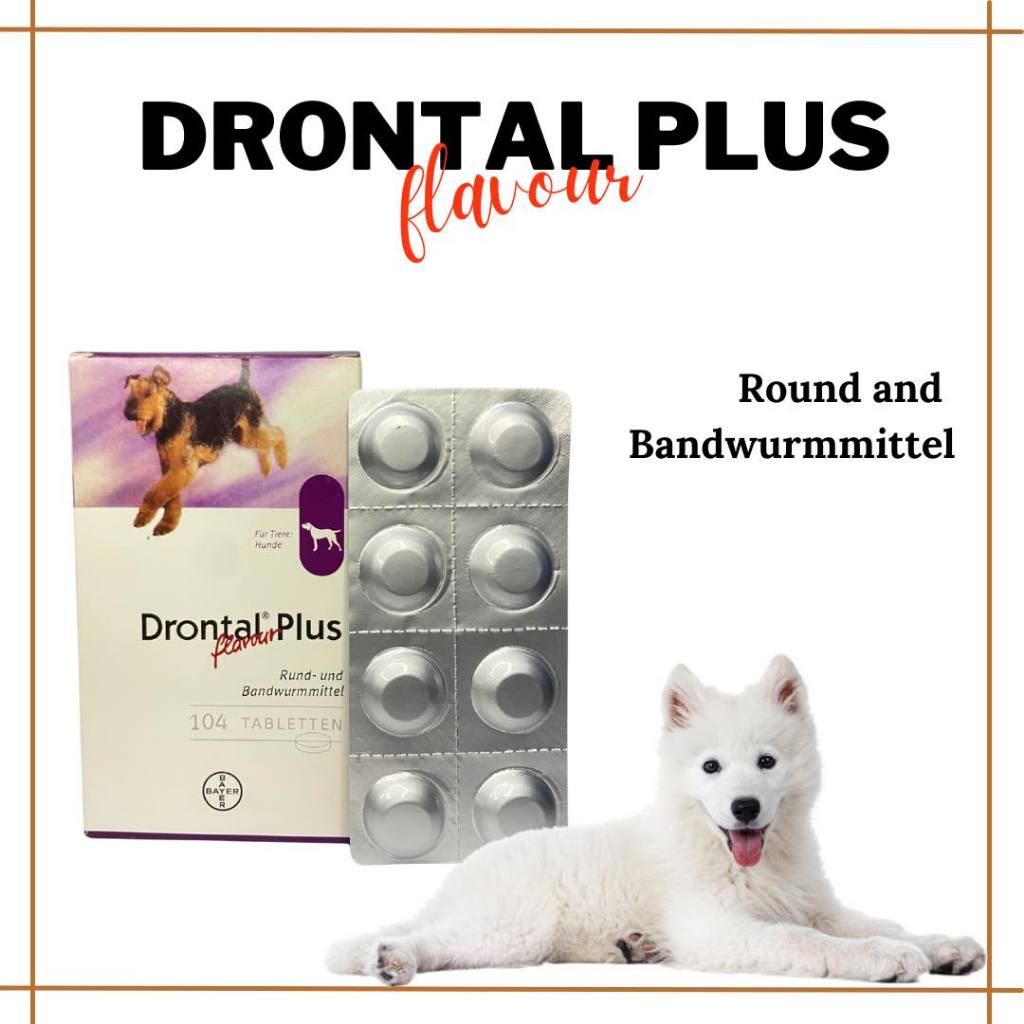 Dog Drontal Tasty Dewormer 1Tablet Tapeworms Roundworms Hookworms and ...