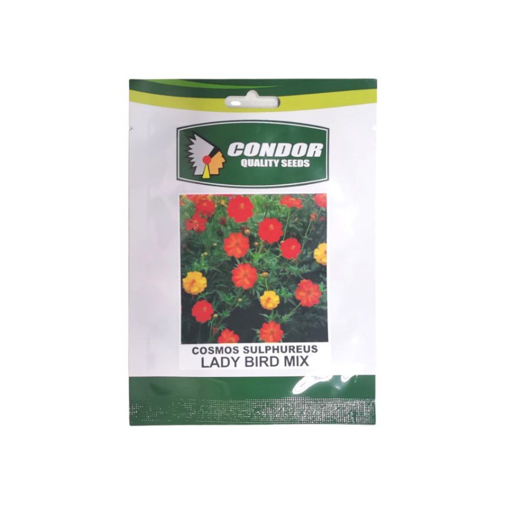 Condor Seeds Cosmos Supphureus Dwarf ladybird Mix 0.5g | Shopee Philippines