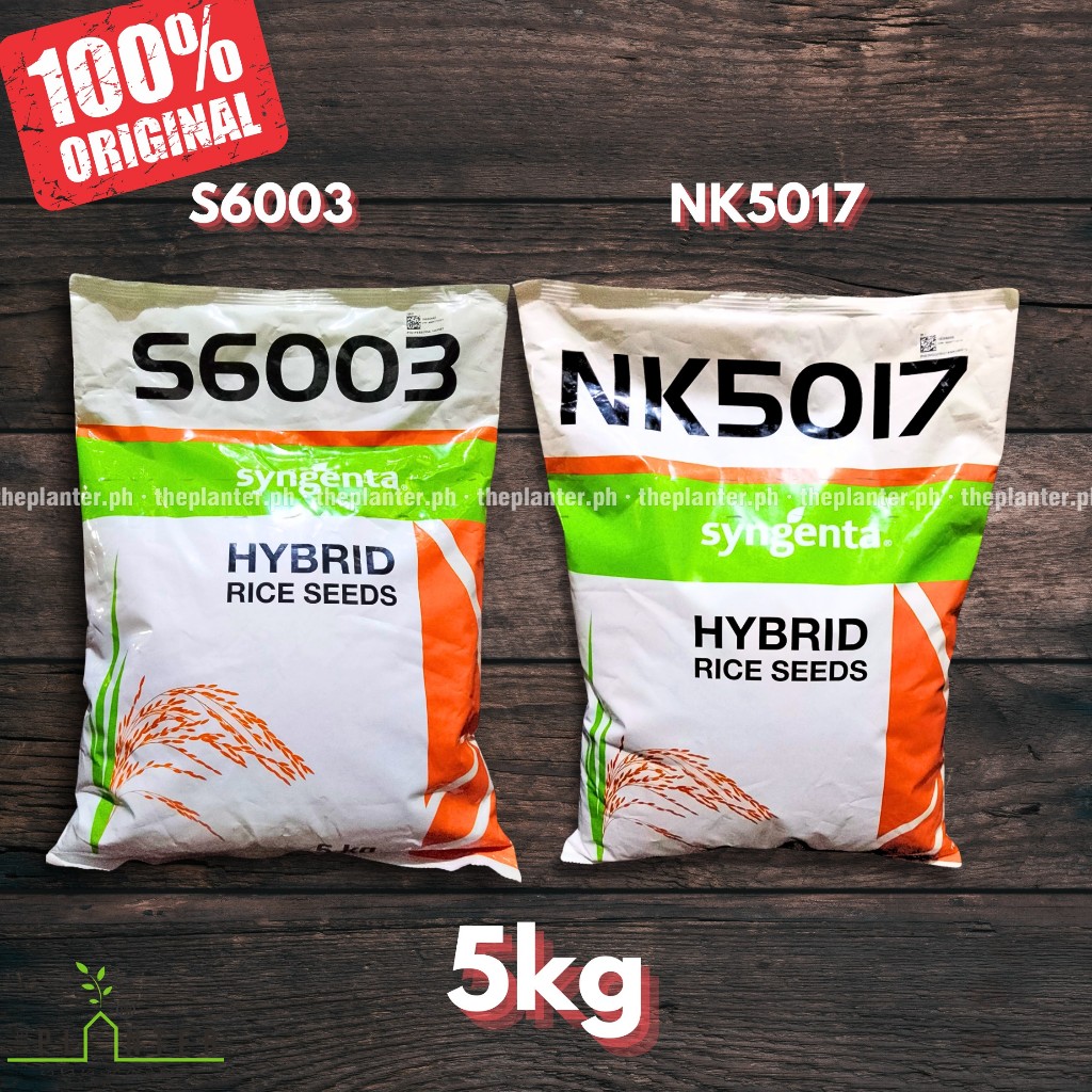 ( 5KG ) Syngenta NK5017 and S6003 RICE SEEDS | Shopee Philippines