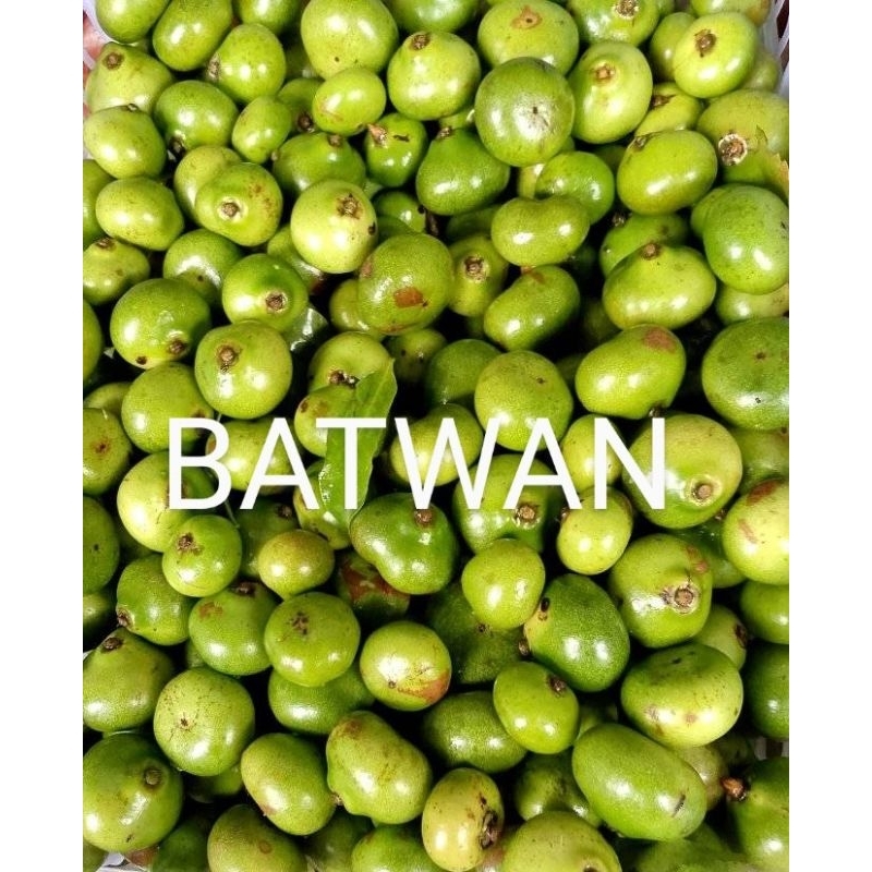 Shop batwan for Sale on Shopee Philippines
