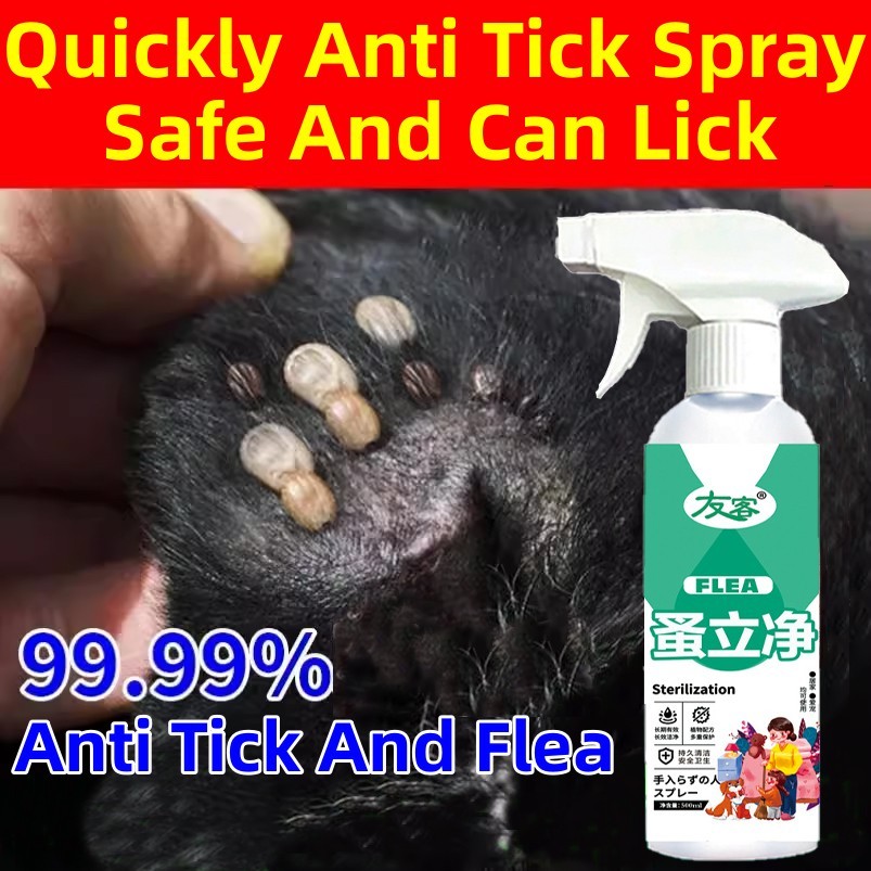 Tick And Flea Killer For Dogs Nontoxic Pet Tick And Flea Spray Fleas