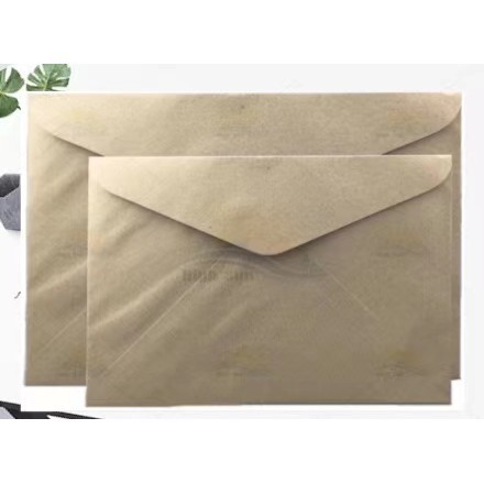 Brown Envelope (economy And Quality) 