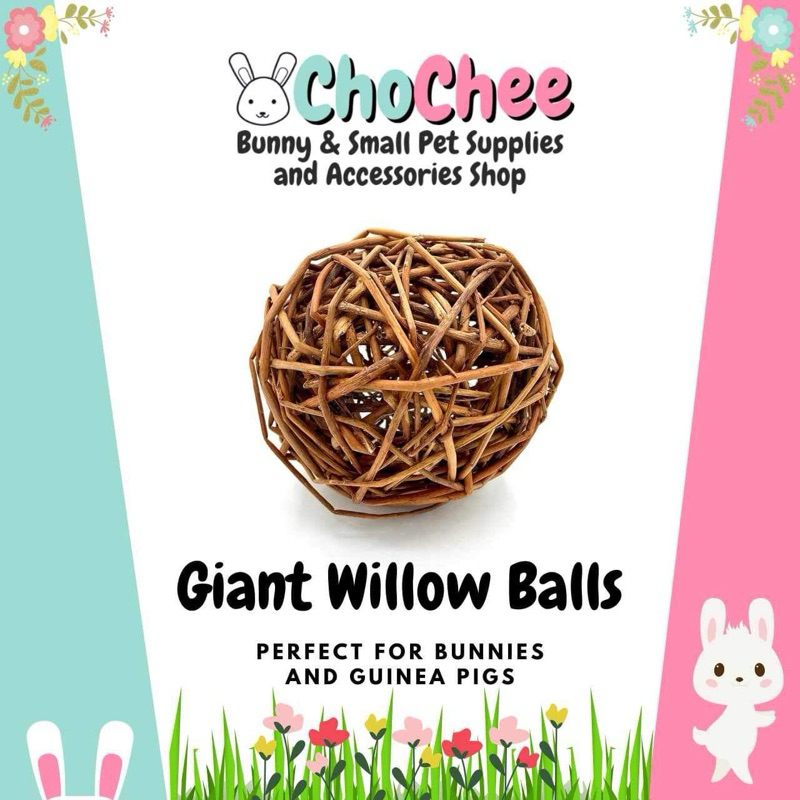 Willow Balls - Toys for Small pets; Rabbits and Guinea Pigs 100% safe ...