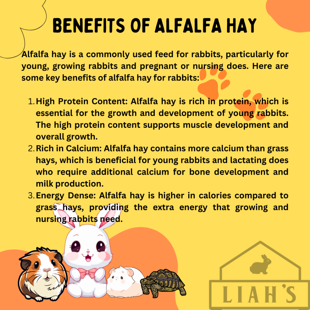 Supreme Alfalfa Hay (long strand leafy) 5kg | Shopee Philippines