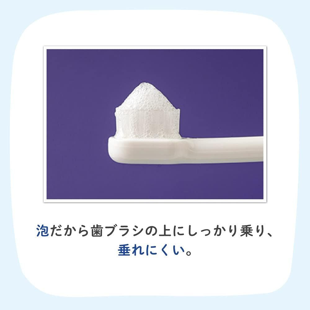 Pigeon Liquid Child Baby Teeth Care (Foam Type) [No Rinse Medicated ...